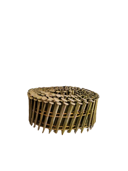 Coil nails in rajasthan